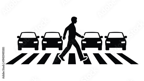 Pedestrian man crossing street on zebra crosswalk with cars stopped traffic regulations