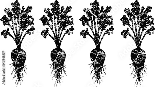 Black silhouette of four carrots with leaves and roots in a row vegetable garden harvest concept illustration