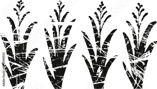 Grunge corn stalk silhouettes set distressed maize plants with leaves and tassels, agricultural and farming concept