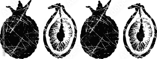 vintage pomegranate silhouettes four distressed fruit illustrations whole and halved tropical fruit outlines