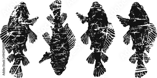 Silhouettes of four different fish species arranged in a row against a white background