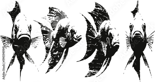 Four black and white angelfish illustrations with detailed fin and scale textures