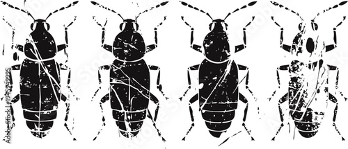 Different cockroach silhouettes in various poses isolated on white background