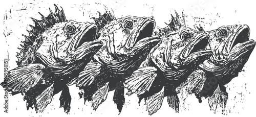 vintage ink drawing of four rockfish lined up, detailed aquatic marine wildlife sketch art