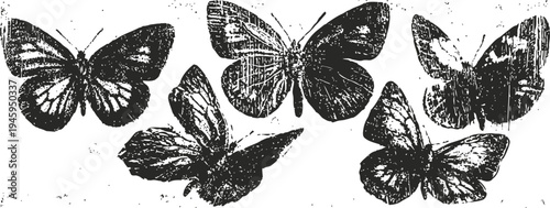 various black and white butterfly silhouettes vintage detailed insect illustrations collection