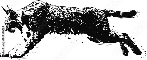 Leaping tabby cat mid jump with focused expression and extended body motion