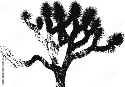 joshua tree silhouette on white background with detailed branching and spiky leaves