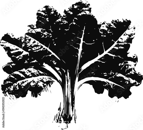 kale leaves black silhouette with detailed veins and textured surface isolated on white background