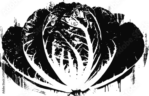 Illustration of a whole cabbage vegetable with detailed leaves and texture in black and white