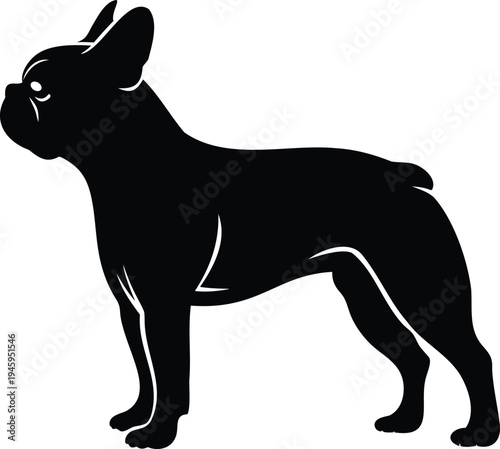 French Bulldog pet lying silhouette design