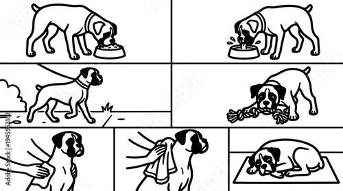 Black and white line art series showing boxer dog eating walking playing tug rope getting wiped drying and resting in peaceful home environment