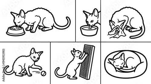 Black and white line art cat performing activities eating drinking wiping body playing ball scratching post sleeping curled up in bed
