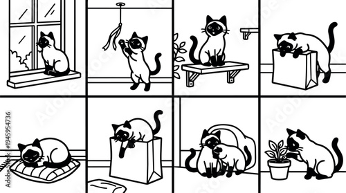 Black and white vector flat design playful cat sitting on window shelf playing with hanging toy and exploring inside paper bag in home interior