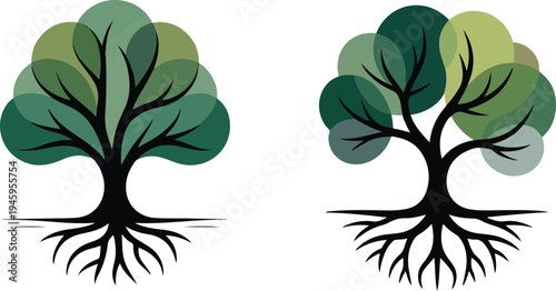 Two stylized trees vector illustration with different leaf shapes and roots