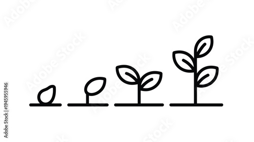 Plant Growth Stages Line Art Illustration with Seed, Sprout and Seedling Gardening Concept