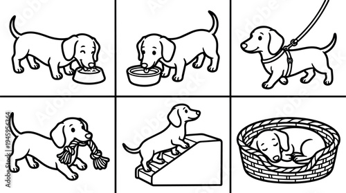 Cute dachshund dog eating drinking walking playing with rope climbing stairs and sleeping in basket vector art