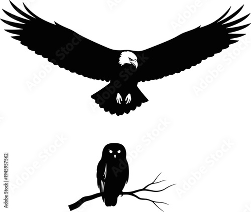 Black and white vector silhouettes of a bald eagle soaring with wings spread and a nocturnal owl perched on a tree branch for wildlife.
