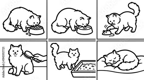 Black line art vector set showing fluffy cat eating food drinking water playing with toy mouse being brushed using litter box and sleeping peacefully indoors