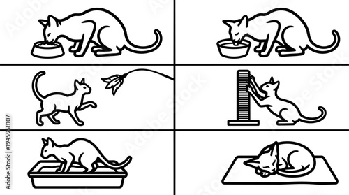 Minimalist icon set of cat eating drinking playing scratching sleeping and interacting with toy in six simple black line art scenes