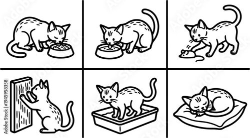 Black and white vector art showing cat eating food drinking water playing with mouse scratching post using litter box and sleeping on pillow line art style