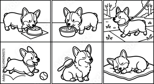 Black and white line art six panel cartoon corgi dog eating drinking walking playing grooming and sleeping vector illustration