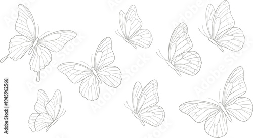 Elegant butterfly line art collection featuring flying butterflies outline drawings delicate insect wings nature tattoo style vector illustration set