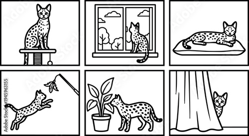 Black and white line art spotted cat sitting stretching playing near window looking outside and hiding behind curtain series