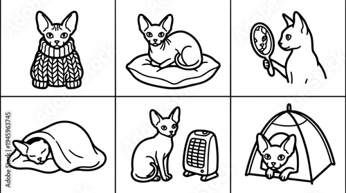Black and white line art of sphynx cat in sweater pillow mirror blanket heater and tent cozy indoor scenes