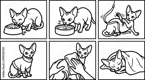 Black and white line art showing playful cat eating drinking exercising wearing collar being dried and sleeping under blanket
