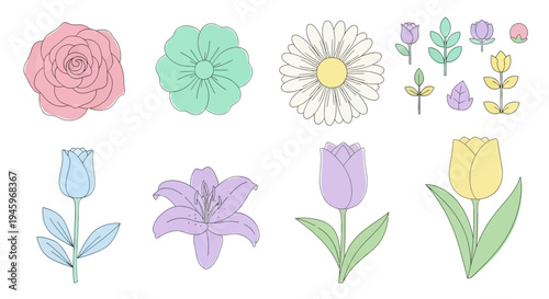 Vector Illustration Set of Delicate Pastel Flowers and Leaves Collection