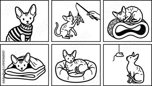 Black and white line art set of playful sphynx cat with blanket bed sleeping and hunting toy vector illustrations