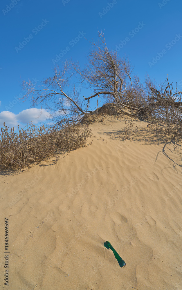 custom made wallpaper toronto digitalPoster about ecosystems for Earth Day, a glass bottle on a sand dune, dry trees against a blue sky, a vertical poster for a concept about ecology and changes in nature under human influence