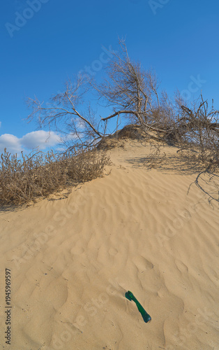Wallpaper Mural Poster about ecosystems for Earth Day, a glass bottle on a sand dune, dry trees against a blue sky, a vertical poster for a concept about ecology and changes in nature under human influence Torontodigital.ca