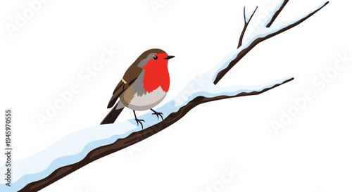 Cute European Robin Bird Sitting Peacefully on Snowy Tree Branch in Winter on Isolated White Background