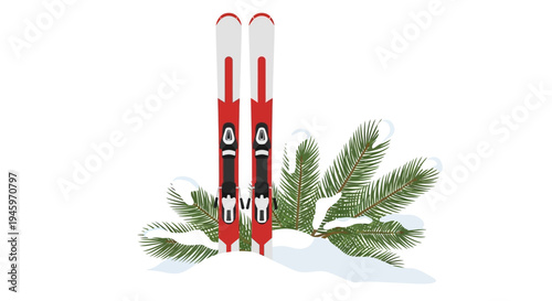 Pair of red alpine skis with poles and green pine tree branches resting in the fresh snow on an isolated white background.