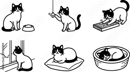 Black and white vector art cat sitting playing scratching resting sleeping various daily activities simple minimalistic line design