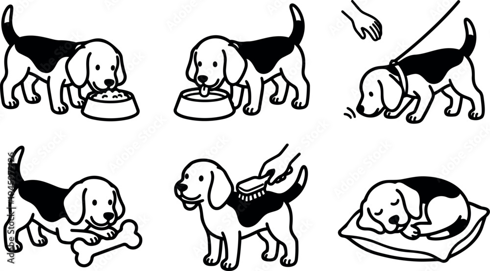 Obraz premium Black and white line art beagle dog eating drinking walking on leash holding bone being brushed and sleeping on pillow set