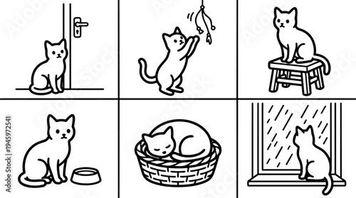 Black and white vector line art showing six different cat poses sitting playing and resting on stool basket or window sill line drawing