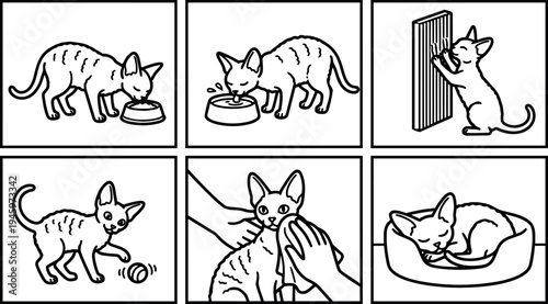 Black line art vector set showing playful cat drinking water scratching post wiping face and sleeping in bed illustrations
