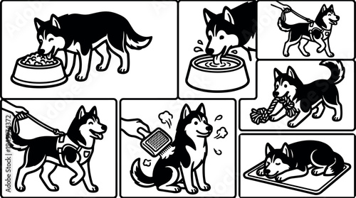 Black and white cartoon style siberian husky dog eating drinking walking with leash playing with rope toy being brushed and sleeping on mat