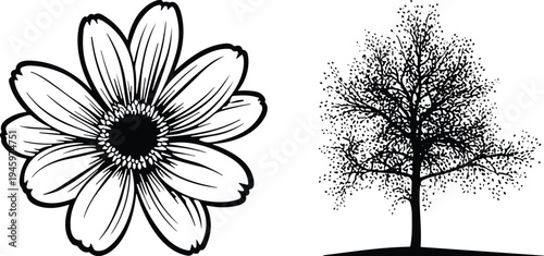 WebBlack and white vector illustration set of a daisy flower head and a detailed tree silhouette isolated on white background,