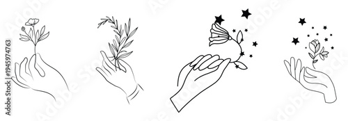 Elegant set of hand-drawn wild plant sketches with delicate botanical details, perfect for nature-themed designs, educational materials, and organic branding projects.