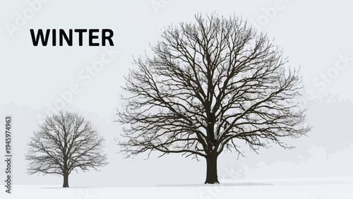 Two bare trees stand in a snowy field on a foggy winter day with a gray sky background.