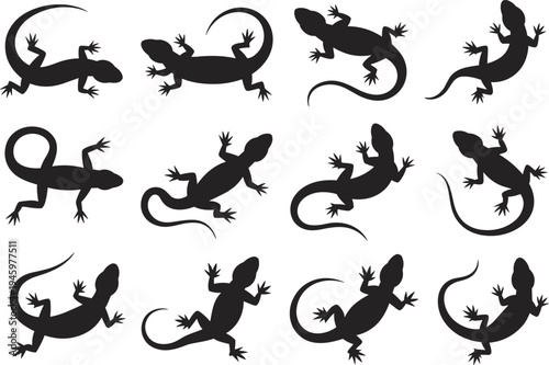 Lizard silhouette illustration, reptile collection, diverse poses, tail variations, wildlife theme, vector art, black silhouettes, isolated, natural, educational, detailed