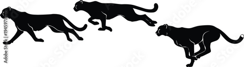Cheetah silhouette, running cheetah, wild animal vector, African predator, speed motion, black graphic, fast mammal, isolated, nature, sprint pose