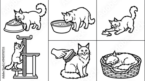 Black line art cat feeding drinking playing climbing scratching post being brushed sleeping in basket vector illustration set