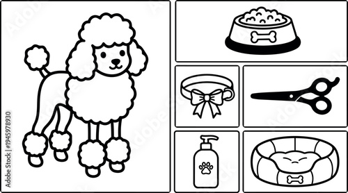 Black and white vector art poodle dog with grooming items food bowl collar scissors shampoo and pet bed illustration set