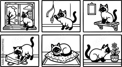 Black and white line art flat design of siamese cat playing relaxing sleeping and observing in home environment simple composition