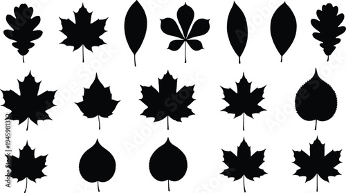 Collection of diverse people silhouettes sitting on floor, casual poses, meditation, relaxing, group of men and women, isolated, vector, background