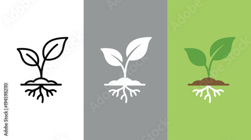 Seedling Growing on Different Backgrounds